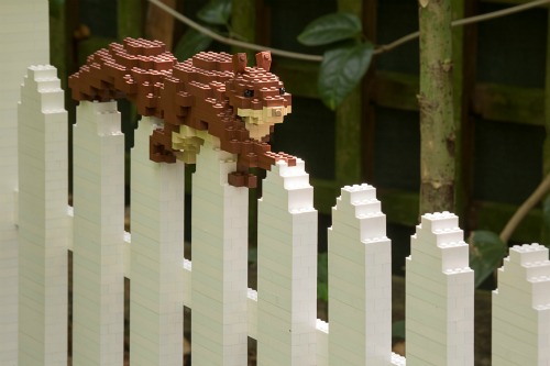 A close up of a Lego squirrel on a fence at Nature Connects 2 LEGO Exhibit at Lauritzen Gardens.