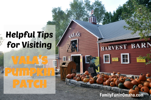The outside of a building with a pumpkin display with overlay text that reads Helpful Tips for Visiting Valas Pumpkin Patch