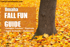 A close up of a tree surrounded by fall leaves with overlay text that reads Omaha Fall Fun Guide