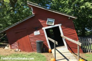 5 Things We Love About Skinny Bones Pumpkin Patch | Family Fun in Omaha