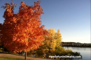 A fall colored tree in front of a lake