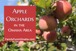 A closeup of apples hanging from a tree with overlay text that reads Apple Orchards in the Omaha area