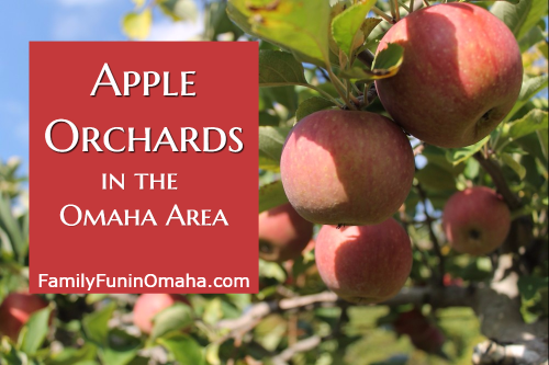 A close up of apples hanging from a tree with overlay text that reads 10 Apple Orchards in the Omaha Area