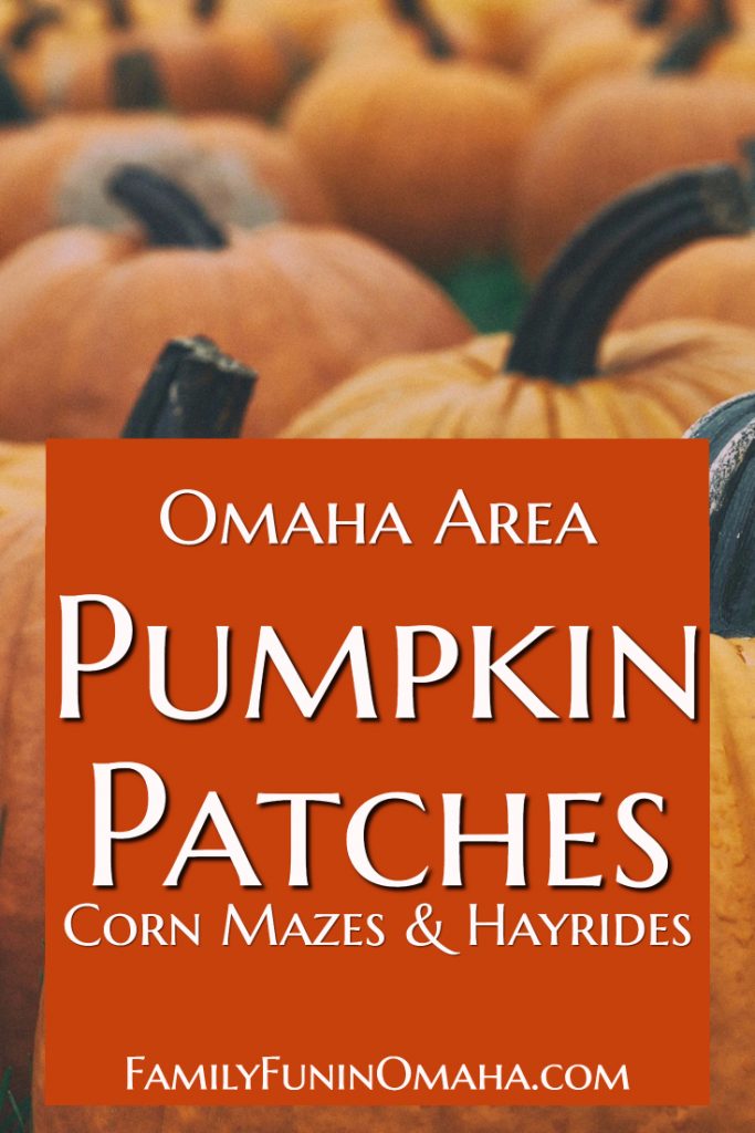 A close up of pumpkins with overlay text that reads Omaha Area Pumpkins Patches, Corn Mazes and Hayrides