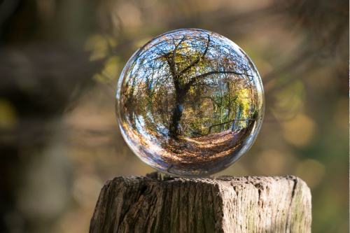 A close up of a glass ball on a wooden post with a reflection of a tree.