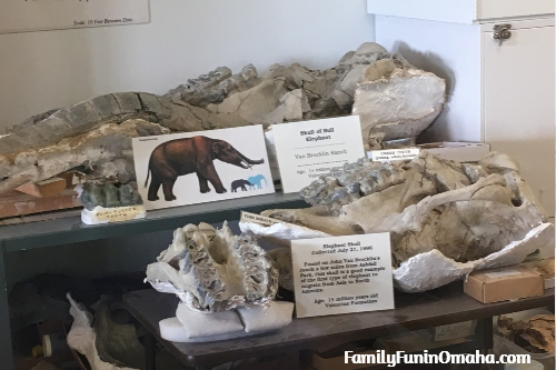 Ashfall Fossil Beds: Visiting with Kids | Family Fun in Omaha