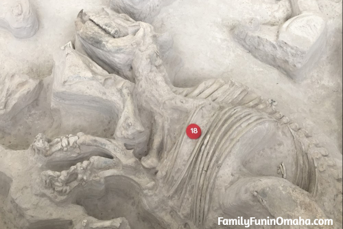 A close up of a fossil at Ashfall Fossil Beds. 