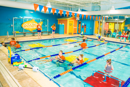 A group of people in a swimming pool at Goldfish Swim School.
