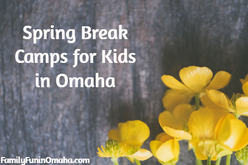 A close up of yellow flowers with overlay text that reads Spring Break Camps for Kids in Omaha