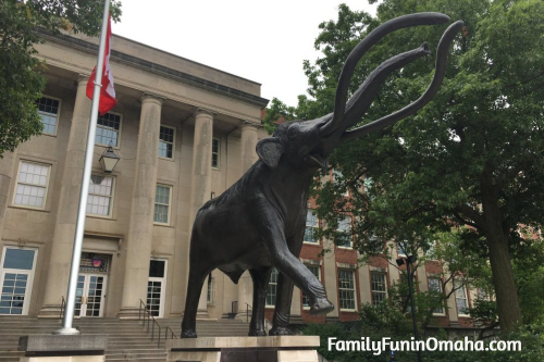 A statue of a wooly mammoth in front of Lincoln Morrill hall.