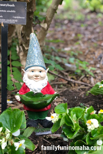 A close up of a garden gnome at The Great Gnome Escape at Lauritzen Gardens.