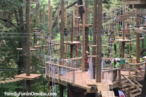 Climbing and obstacle course in the trees at Tree Rush Adventures.