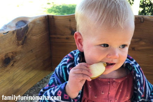 A young boy eating an apple at Arbor Day Farm.