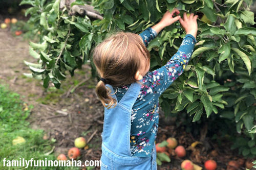 Family Fun at Arbor Day Farm & Lied Lodge in Nebraska City | Family Fun ...