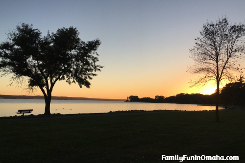 A tree next to a body of water at sunset